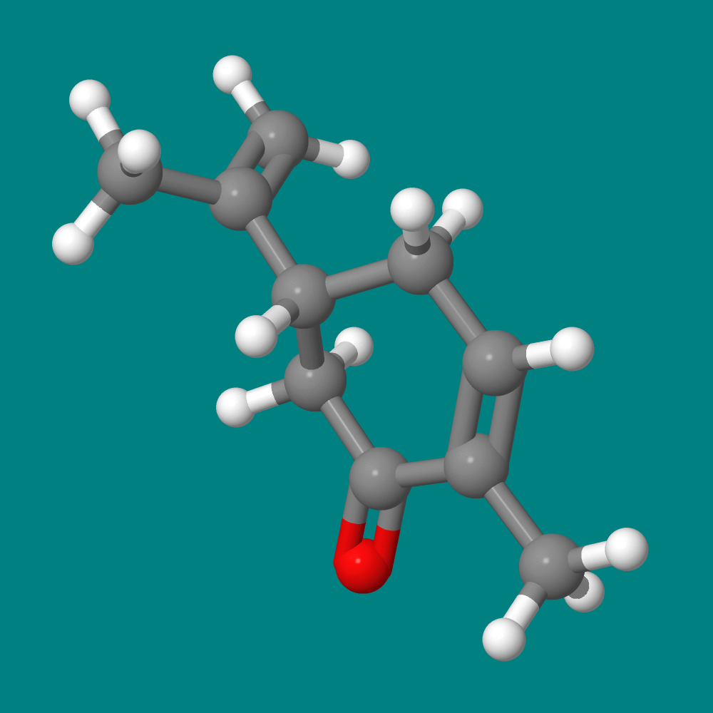 Candice Swanepoel Escort Molecule Model Activity